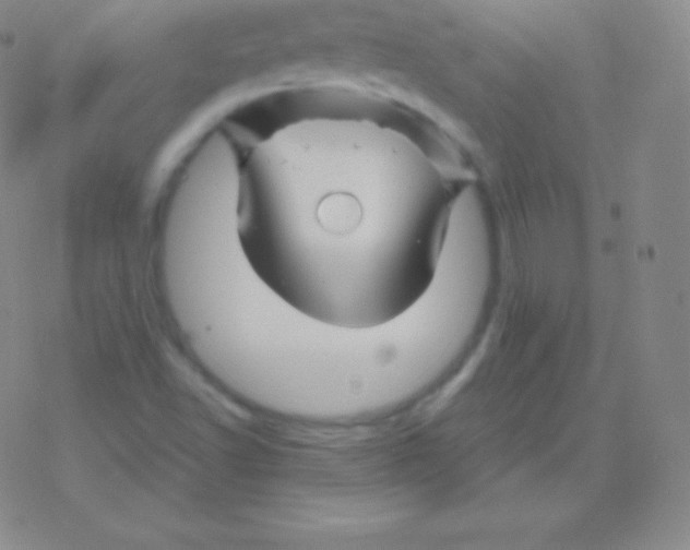 X0000076311502200610271926