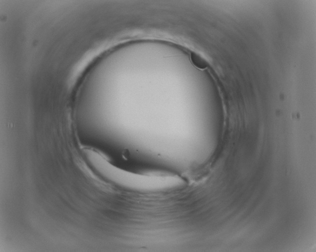 X0000076311503200610271926