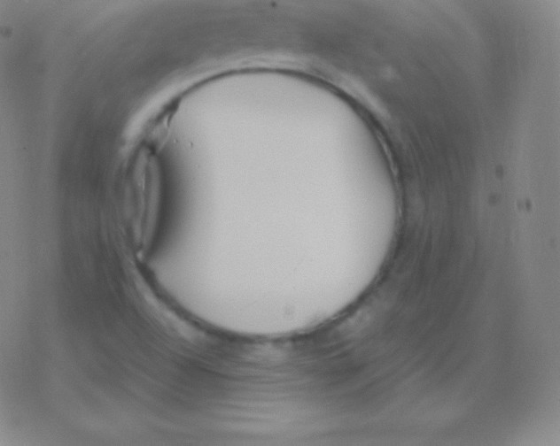 X0000076311504200610271926