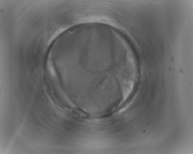 X0000076311505200610271926