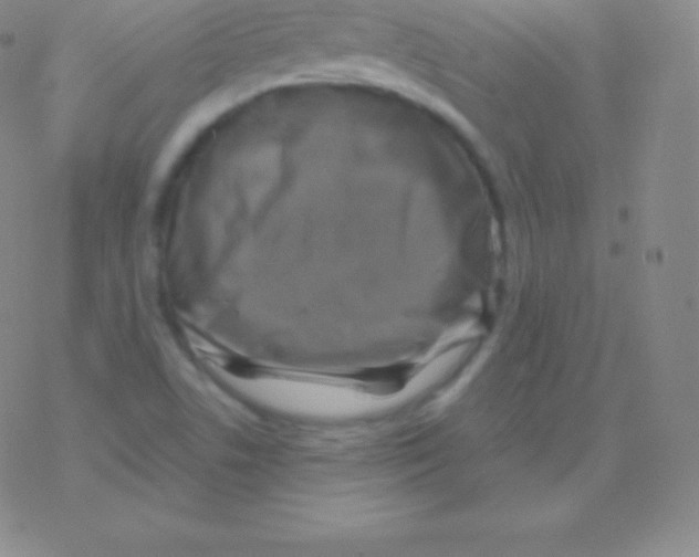 X0000076311506200610271926