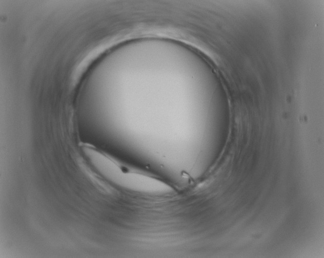 X0000076311507200610271926