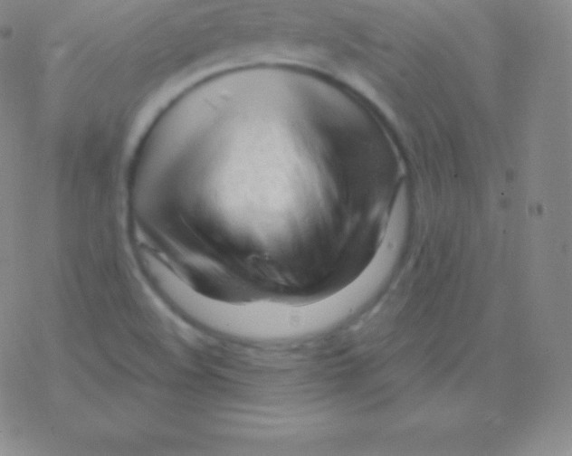 X0000076311508200610271926