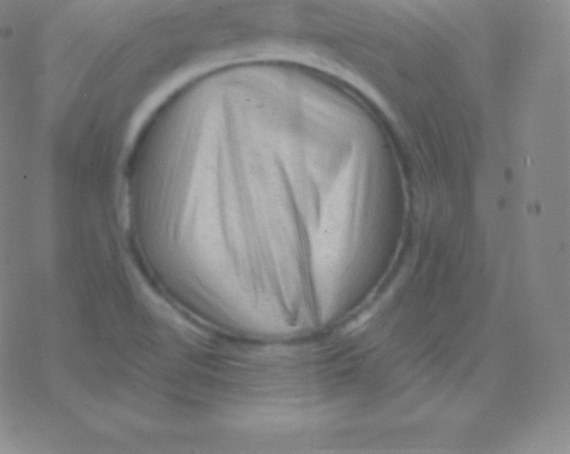 X0000076311510200610271926