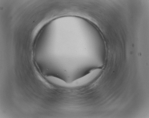 X0000076311511200610271926