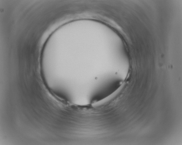 X0000076311512200610271926