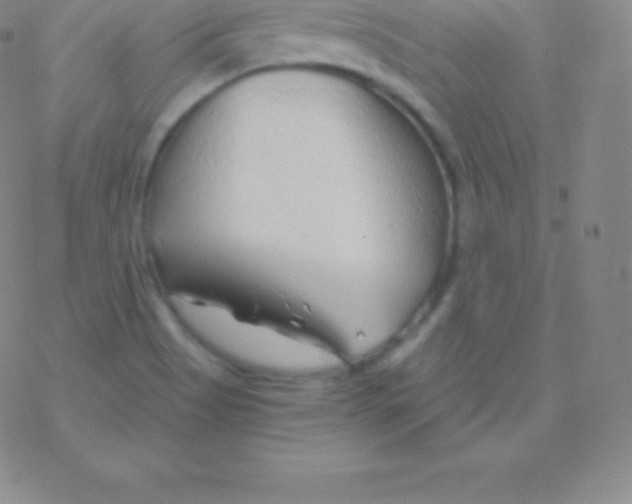 X0000076311513200610271926