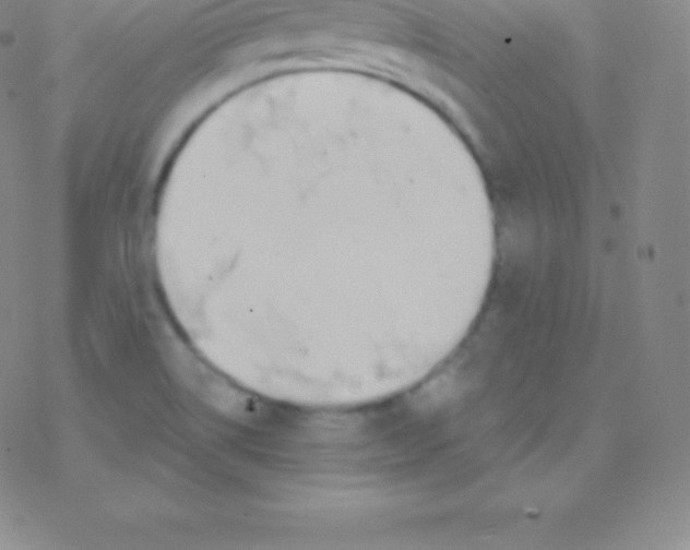 X0000076311514200610271926