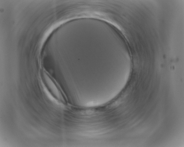 X0000076311515200610271926