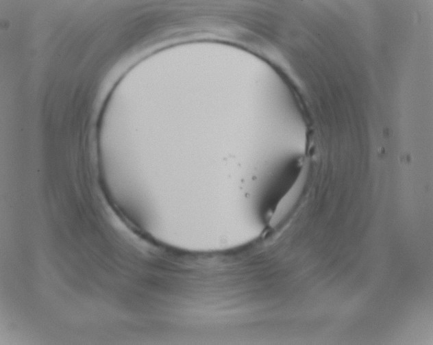 X0000076311516200610271926