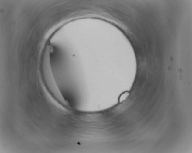 X0000076311518200610271926