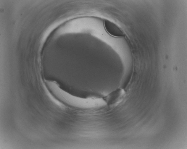 X0000076311519200610271926