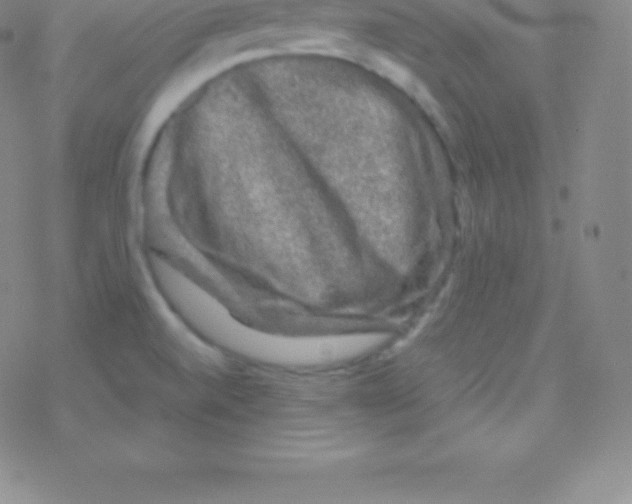 X0000076311520200610271926