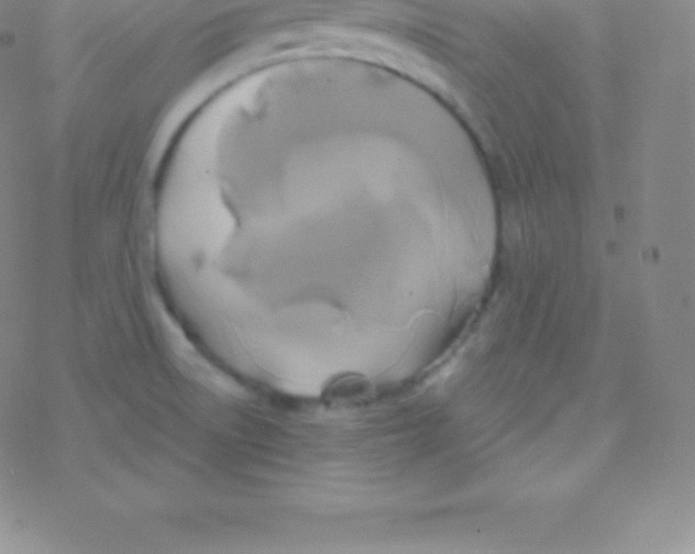 X0000076311522200610271926