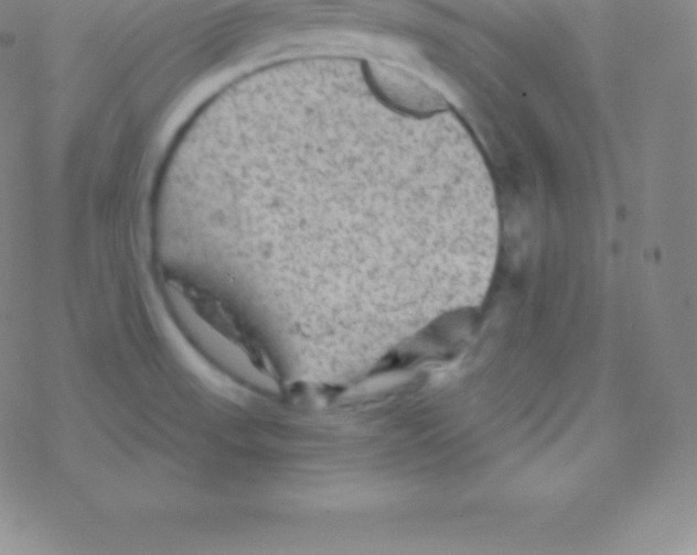 X0000076311523200610271926