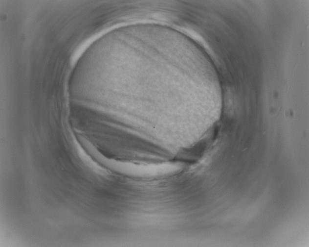 X0000076311524200610271926