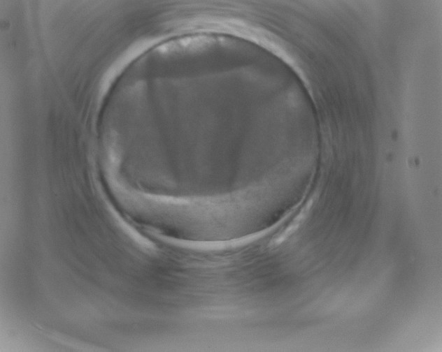 X0000076311525200610271926