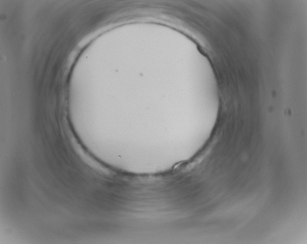 X0000076311526200610271926