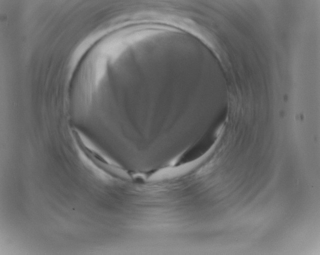 X0000076311527200610271926