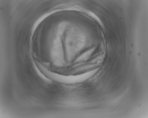 X0000076311528200610271926