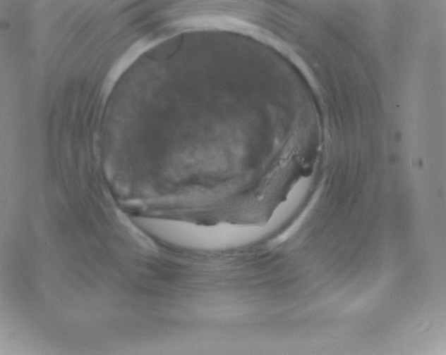 X0000076311529200610271926