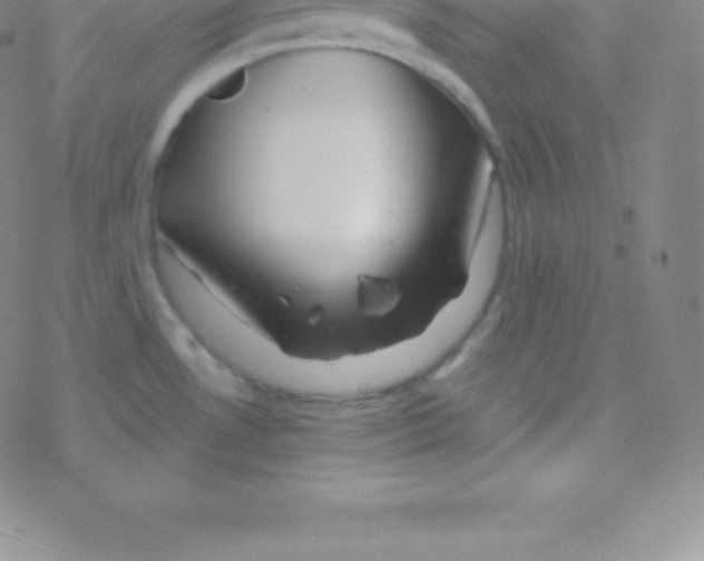 X0000076311530200610271926