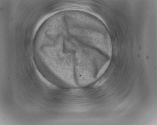 X0000076311531200610271926