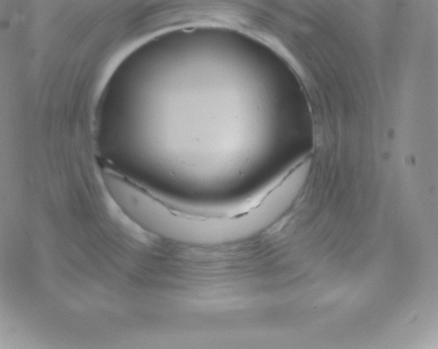 X0000076311532200610271926