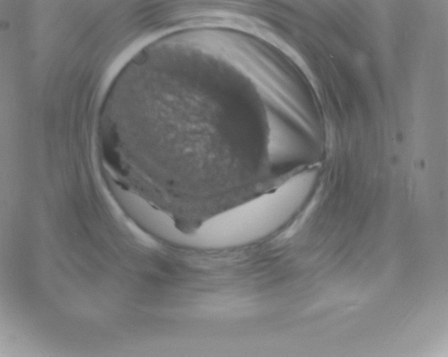 X0000076311533200610271926