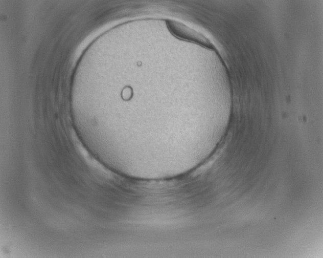 X0000076311534200610271927