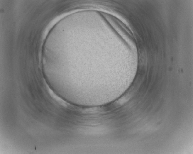 X0000076311535200610271927