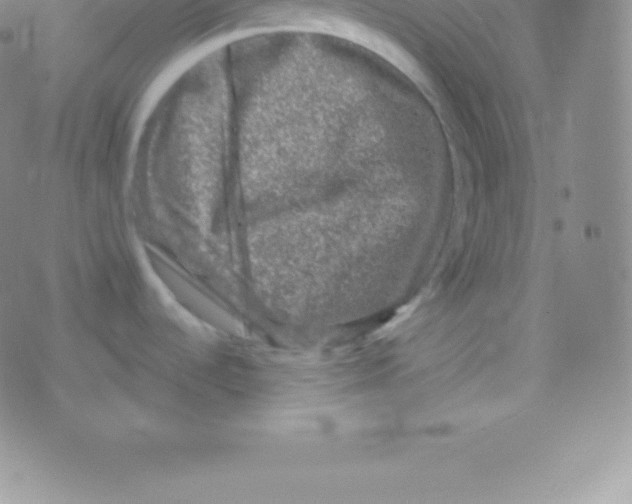 X0000076311536200610271927