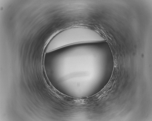 X0000076320052200609290901