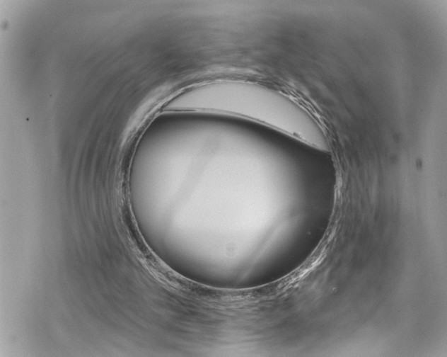 X0000076320101200609290901