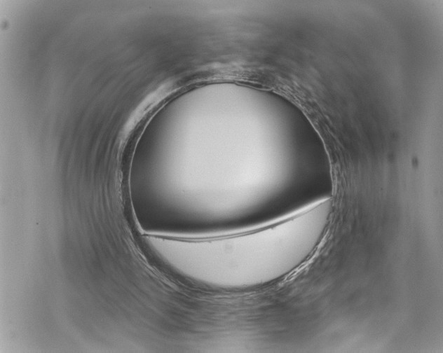 X0000076320150200609290859