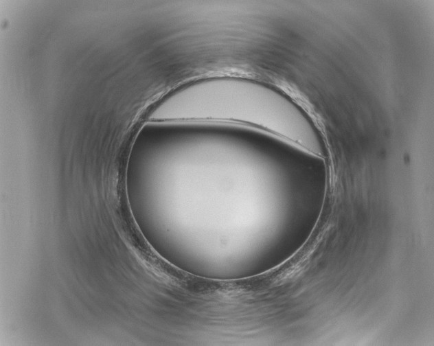 X0000076320201200609290859