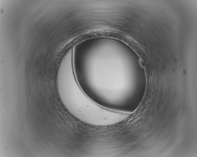 X0000076320822200609290848