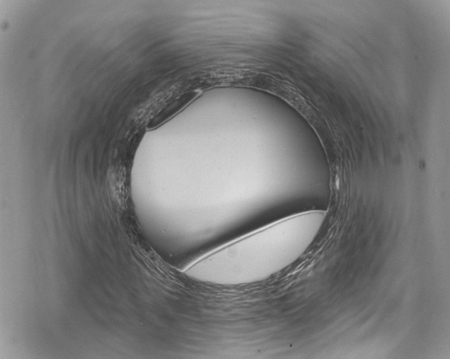X0000076320867200609290848