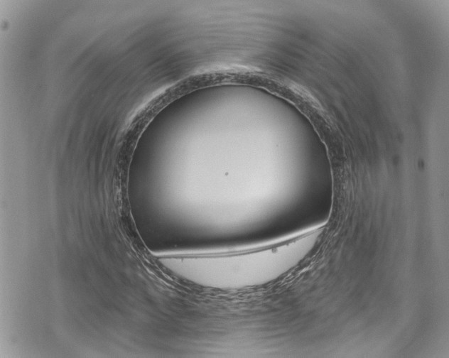 X0000076320872200609290848