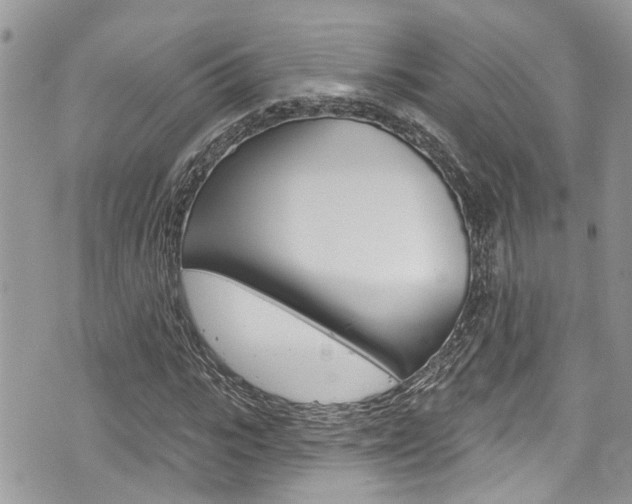 X0000076320919200609290847
