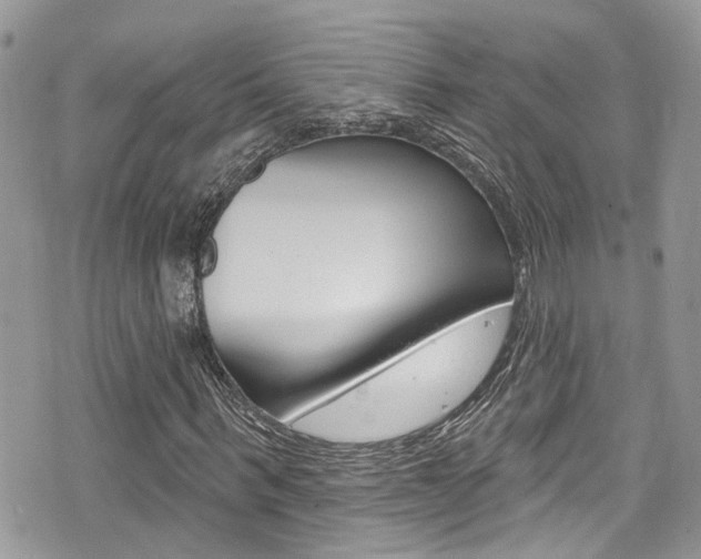 X0000076320963200609290846