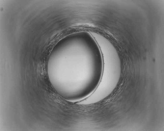 X0000076320965200609290846