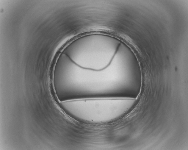 X0000076321024200609290845