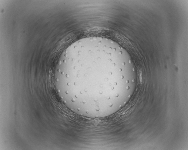 X0000076321059200609290845