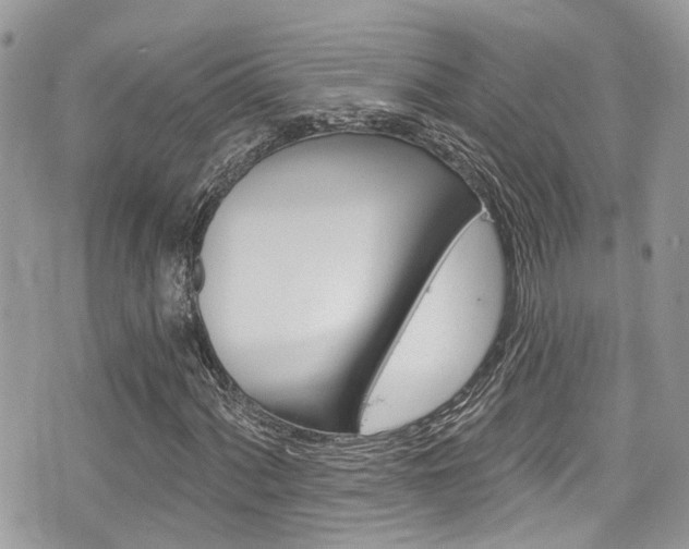 X0000076321060200609290845