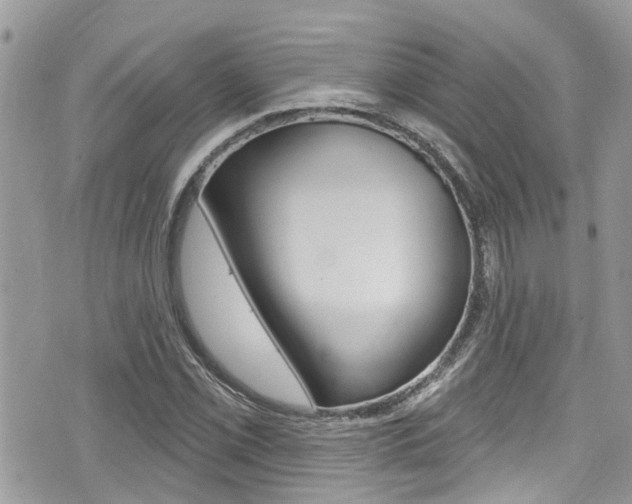 X0000076321069200609290845