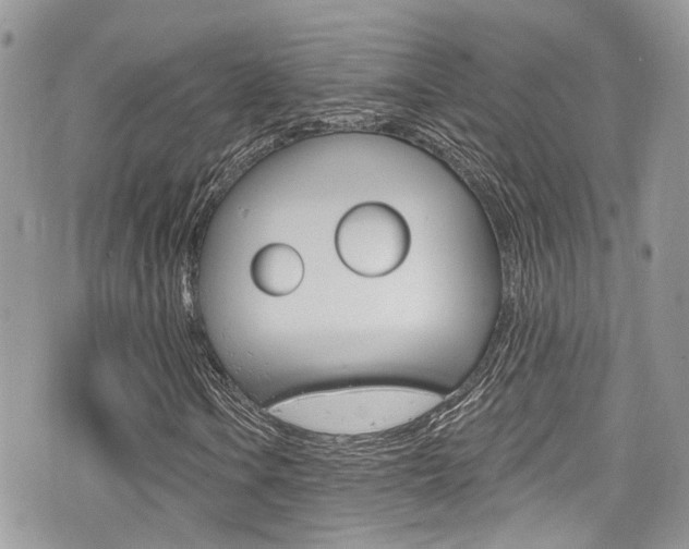 X0000076321106200609290843