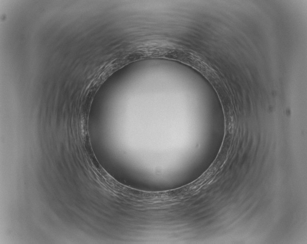 X0000076321108200609290843