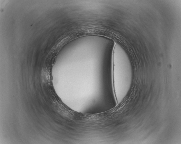 X0000076321155200609290843