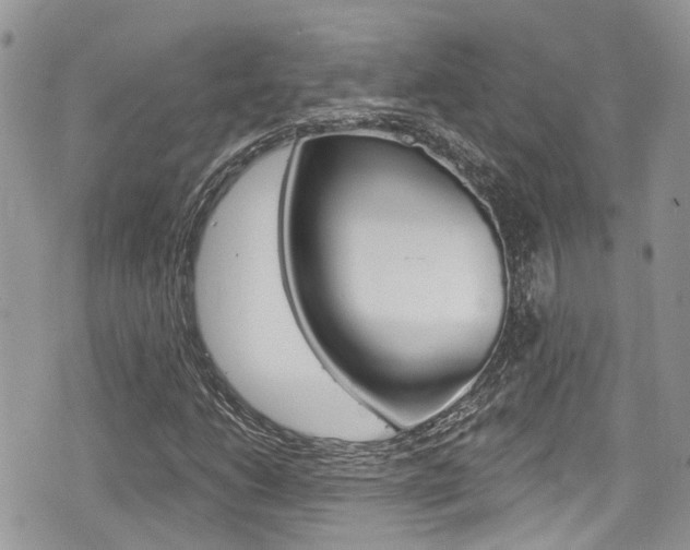 X0000076321206200609290842